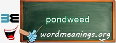 WordMeaning blackboard for pondweed